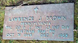 Lawrence J Brown