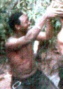 SGT CALVIN NORMAN, Jr SGT CALVIN NORMAN, Jr